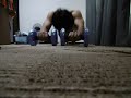 腹筋ローラー60回「脚に15㎏加重して」 60 Ab Wheel「+15 kg with leg」
