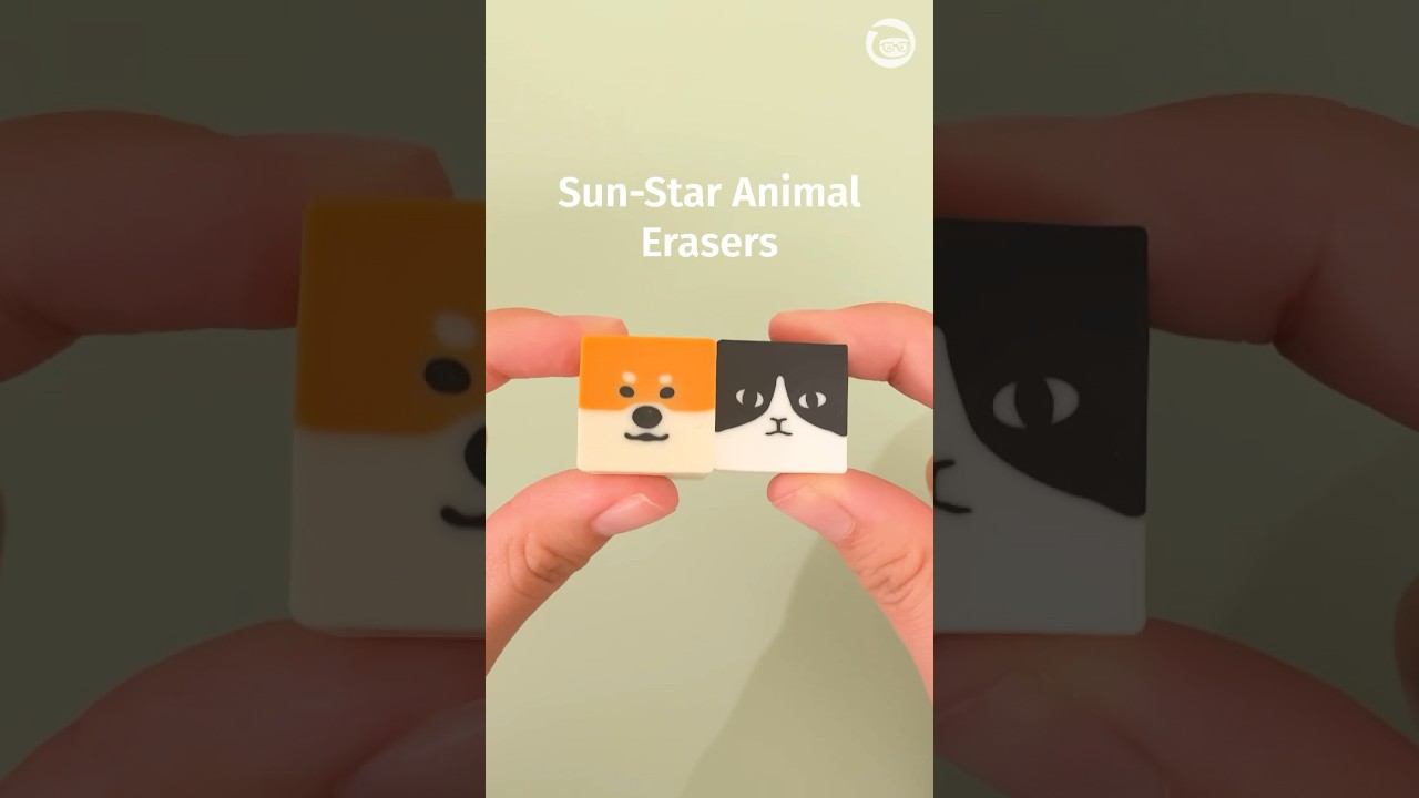 These erasers turn into dogs 🐶 & cats 🐱!? #shorts