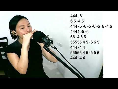 Heart of Gold Harmonica G Instrumental cover with tabs