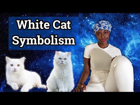 White Cat Spirit Animal Totem