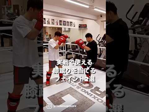 実戦で使える膝蹴りを当てるフェイント2選