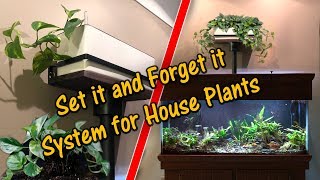 DIY Aquaponics | Decorative. Practical. Simple.