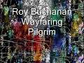 Roy Buchanan -  Wayfaring Pilgrim