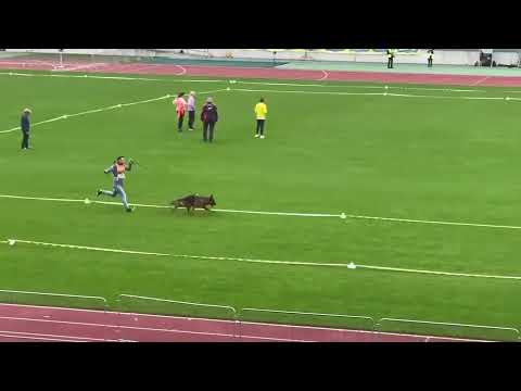 BSZS 2022 - SG1 Cloe (Wacron) 12-18 Months Nurnberg - JKH