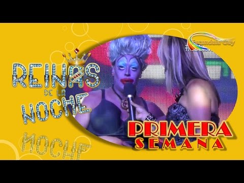 REINAS DE LA NOCHE / SEMANA 01 - CANAL FARANDULA GAY