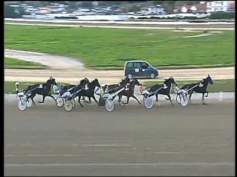 Trotto 25/10/2015 - 5° corsa