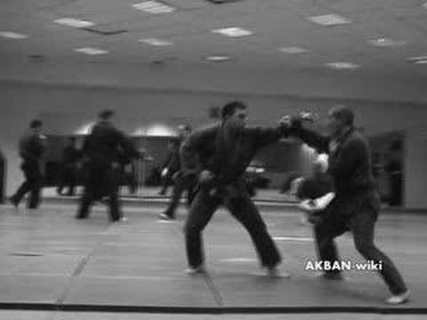 Suito no kata, koto ryu