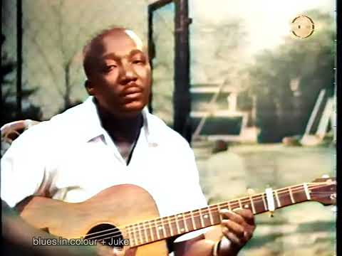 J B Lenoir - The Whale Has Swallowed Me live [Colourised] 1965