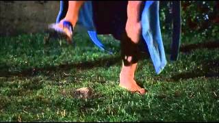 See spot run - I&#39;m covered in ca-ca!