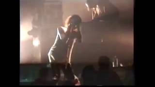 Peace, Love & Pitbulls - Pig Machine Thåström