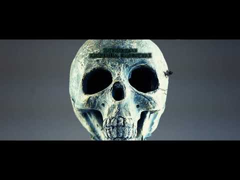 X-Teknokore - KICKDRUM GANGSTERZ (Official Visualizer)