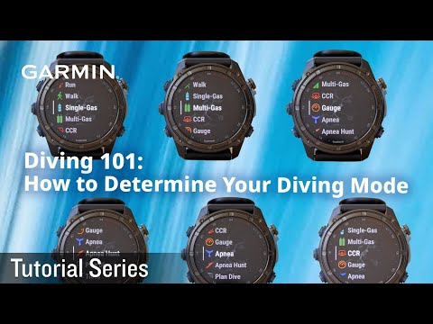Tutorial – Diving 101: How to Determine Your Diving Mode
