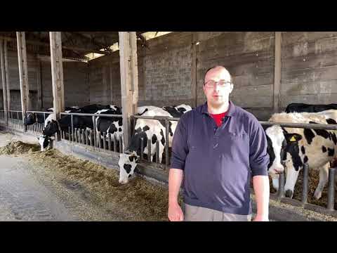 Der Neue Brandenburger Weg Vorschlag 8: Tiergesundheitsmanagement