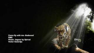 Come fly with me Sizzla &amp; Foxy Brown- Badweed RMX