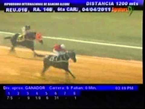 Resumen Lunes, 04 de Abril de 2011 - Rancho Alegre