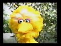1995 Sierra Goes To Sesame Place