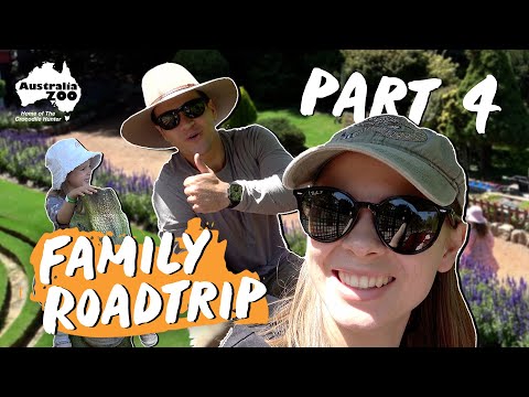 Bindi Irwin & Family Explore CANBERRA!