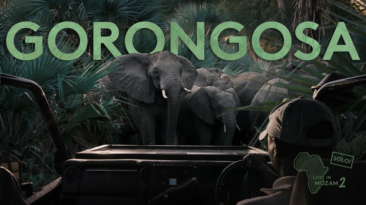 SAFARI in GORONGOSA - Lost in Mozambique 2 Episode 5