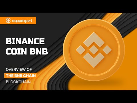 Binance Coin BNB. Overview of the BNB Chain blockchain.