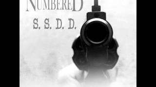 These Days Are Numbered - S.S.D.D. (NEW SINGLE OCTOBER 2013)