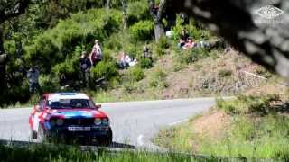 preview picture of video 'Rallye de La Crau 2013 VHC vehicules historiques de competition'