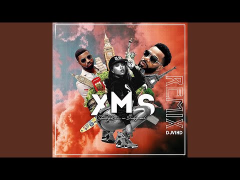 XMS (V1HD Remix) (feat. StickyWow) (Radio Edit)