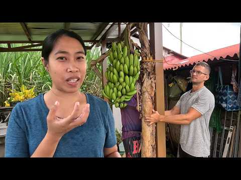 Preparing for Holiday Season | Collecting stones from the river to our home 