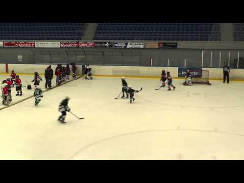 Tatabányai Polipok .Vasas HC torna 6