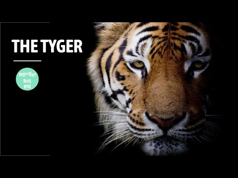The Tyger - Poem by William Blake