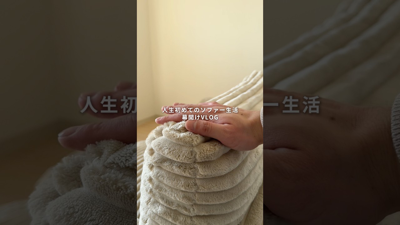 人生初めてのソファ生活幕開けVLOG