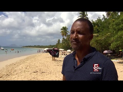 Explore the Island of Flowers