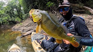 FÁBIO BACA ME DEU UMA AULA DE PESCA DE TUCUNARÉS