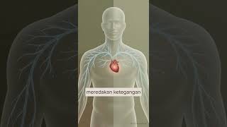Download lagu Mengapa_Bernafas dengan Perut Lebih Baik mp3