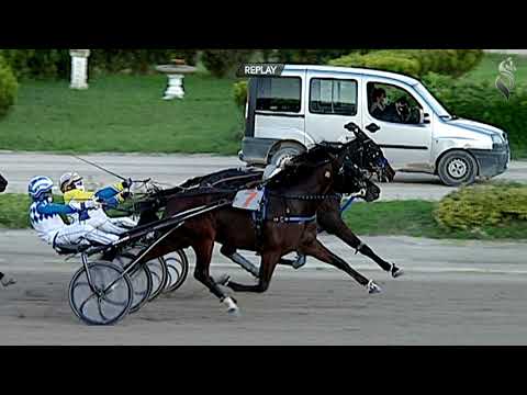 Aversa trotto 28 Ottobre 2020 - 5° Corsa