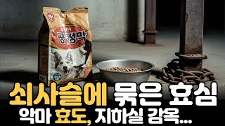 Download lagu 20년간 전신마비 아버지를 수발한 '국민 효자'의 집, 지하실에서 발견된 쇠사슬 mp3