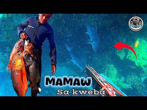 Spearfishing 🇵🇭 Puro MAMAW lahat🤑 blessed day