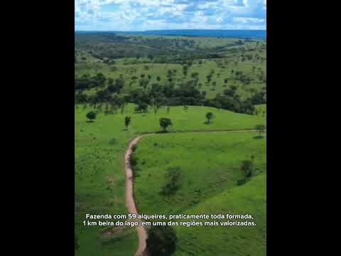 FAZENDA À VENDA EM CALDAS NOVAS – GO 🐎🇧🇷 Excelente oportunidade de investimento!Fazenda 59 alqueires