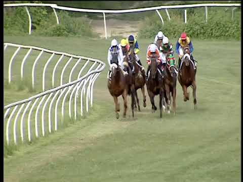 Galoppo 21/06/2019 - 3ª corsa