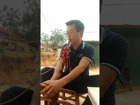 Qia paiv thiab tshuav zaj qeej tos hauv qhua