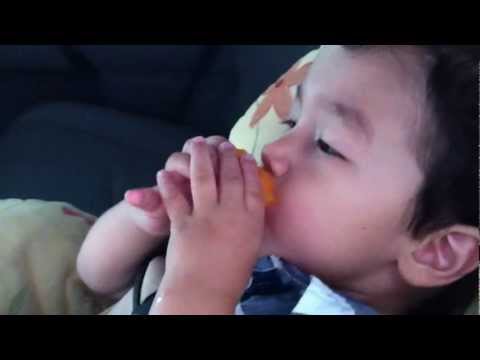 Abtin Eats Apricot!