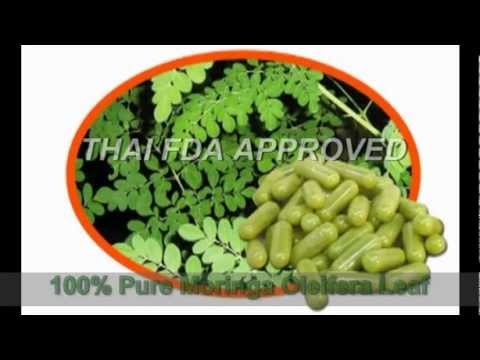 download lagu mp3 mp4 Where To Buy Moringa In Thailand, download lagu Where To Buy Moringa In Thailand gratis, unduh video klip Where To Buy Moringa In Thailand