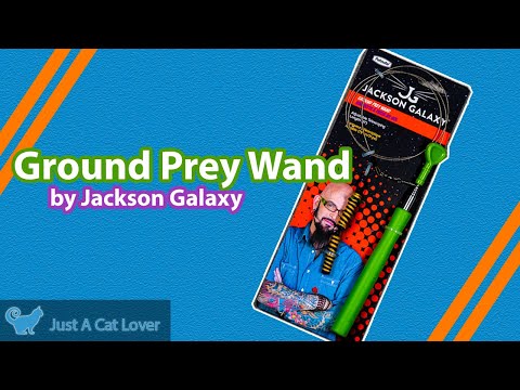 Jackson Galaxy Retractable Wand Cat Toys Review | Ground Prey Wand Toy