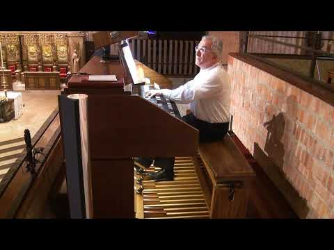 Variaciones sobre "Salve, Madre de Torreciudad" de Naji Hakim