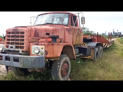 Heavy Timber Trucks Logging Legend Nissan TZA 520 DIESEL - Old Truck Since 1970s