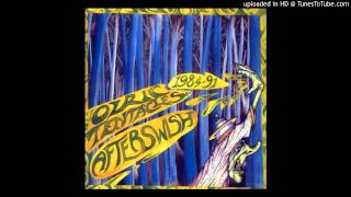 Ozric Tentacles - The Dusty Pouch