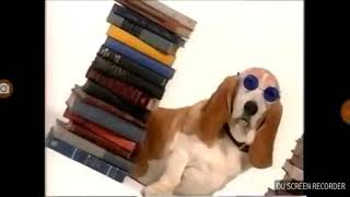 Mary-Kate &amp; Ashley Olsen&#39;s Music Video: Our Doggy Has Eaten Our Homework