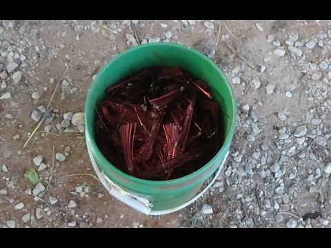 Taking a bucket of Scrap copper to the Scrap Yard