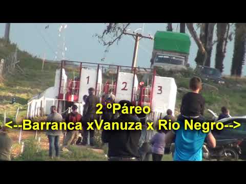 PENCA CANGUÇU 20 08 17