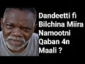 DandeettiI Sammuu Fi Bilchina Miiraa Qabaachuuf Serootaa Kanaa Hubadhu