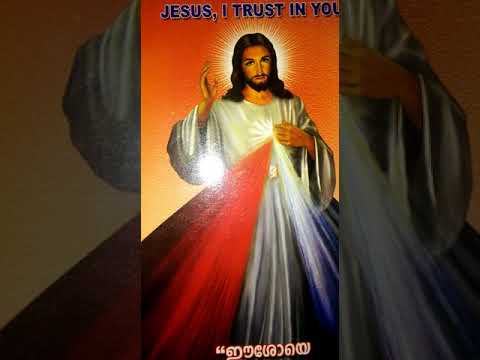 Bible reading part 456